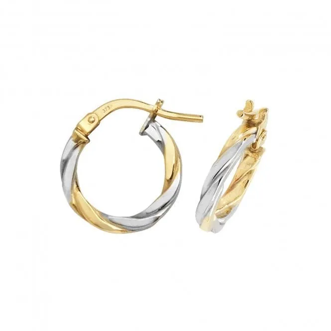 9ct Yellow & White Gold Oval Hoop Earrings ER1041YW