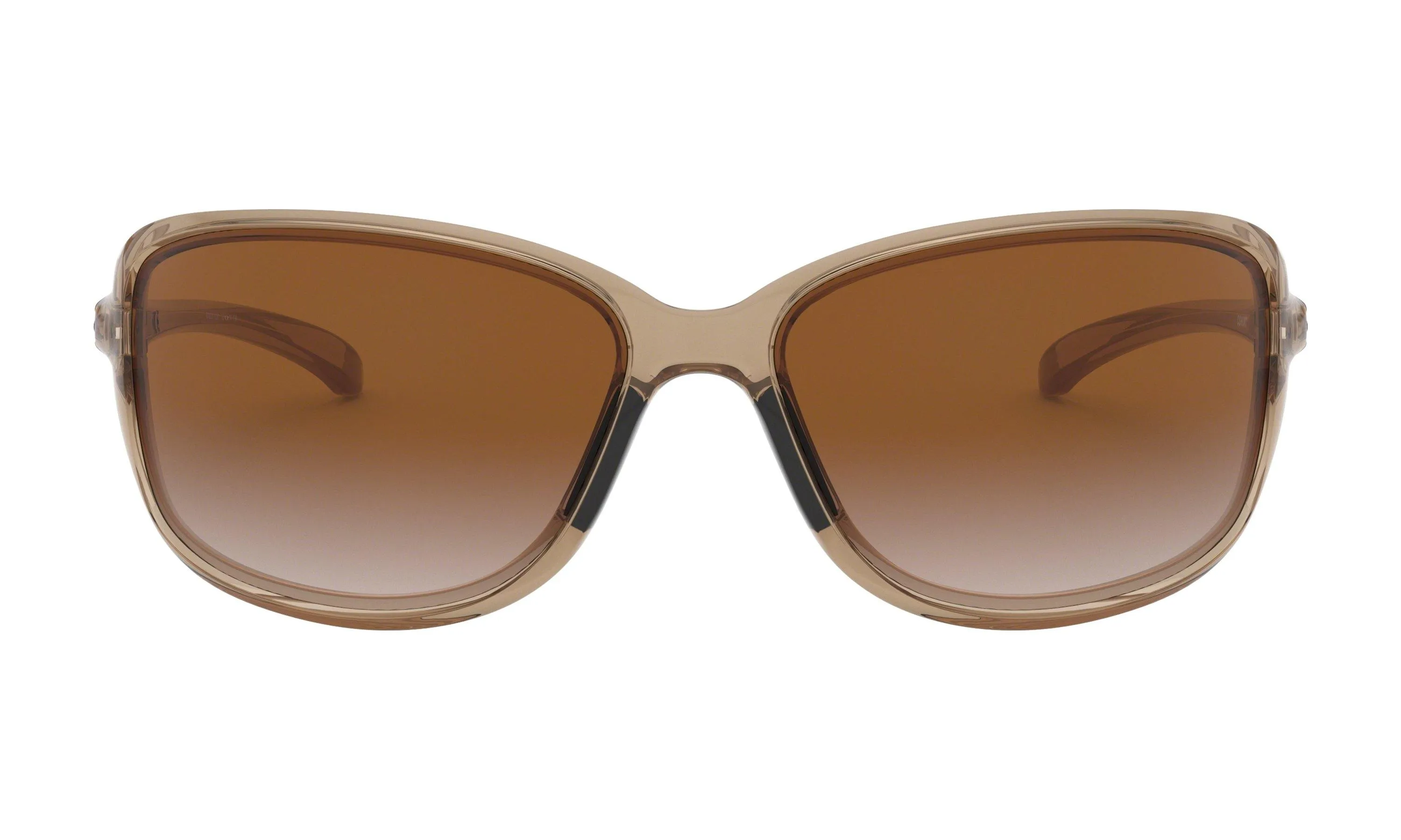 Cohort Sunglasses