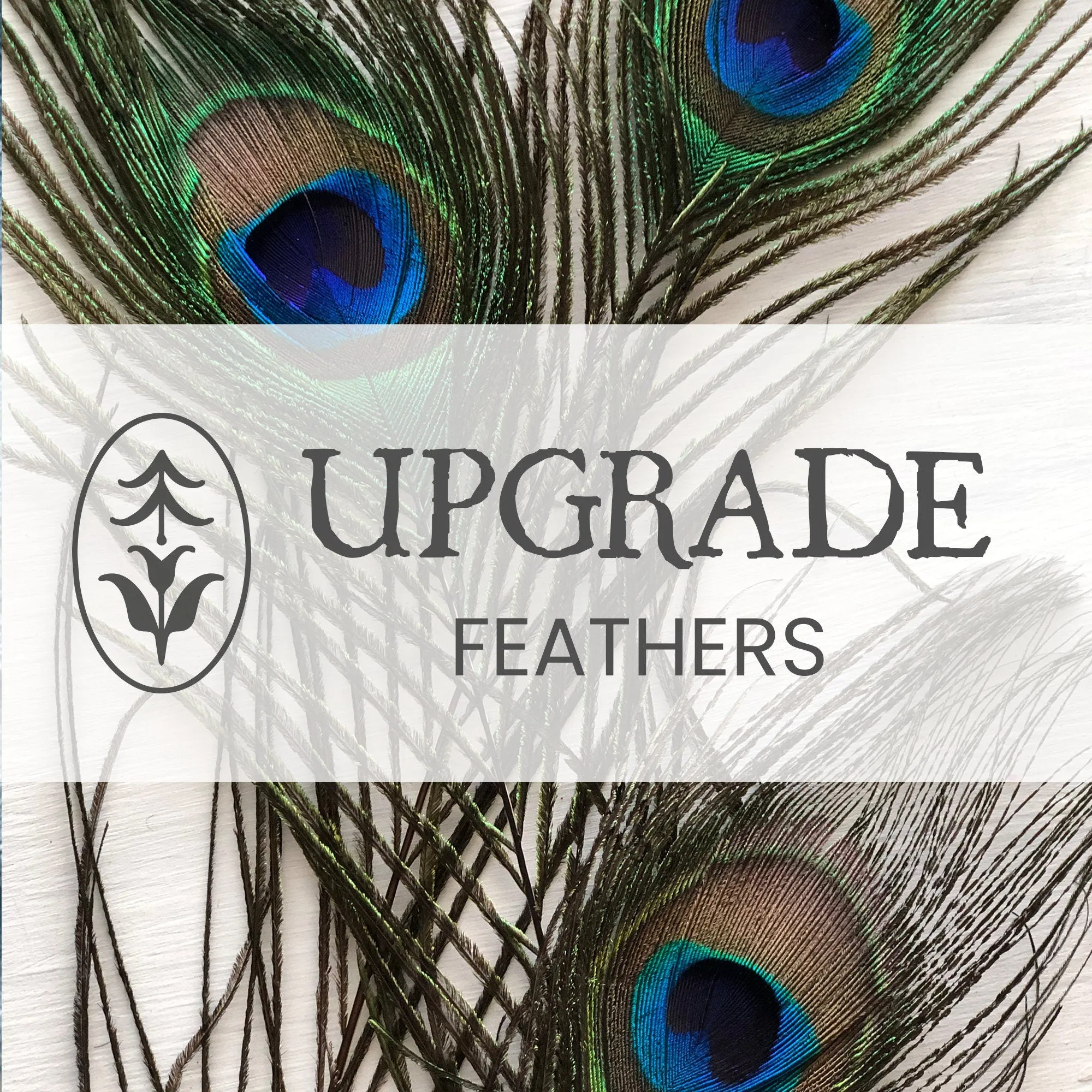 Feathers - BOUQUET UPGRADE - Peacock - Pheasant - Brown - White - Black