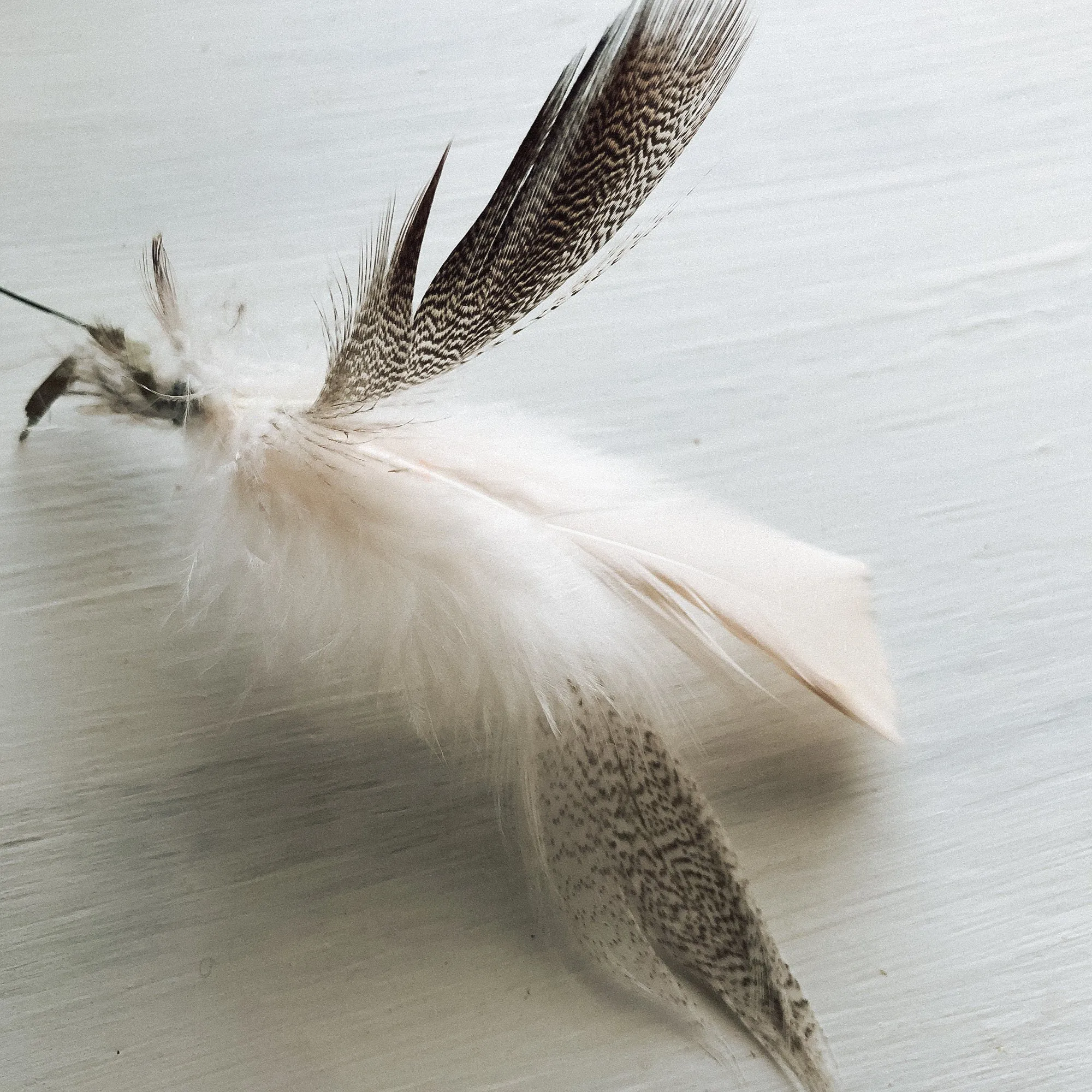 Feathers - BOUQUET UPGRADE - Peacock - Pheasant - Brown - White - Black