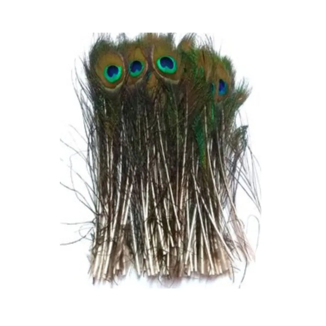 Natural Peacock Feather 10 Inch - 12 Inch | Mor Pankh for Home Decor | Pack of 500 Pcs, Rs 2745/-)