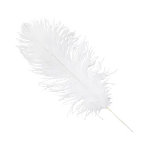 Ostrich Feathers 14"-16" (10 pcs) - White