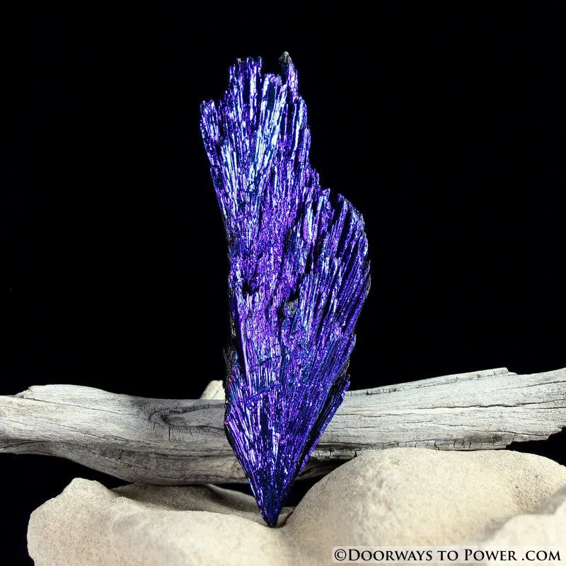 Powerful Aqua Aura Black Kyanite Crystal A    