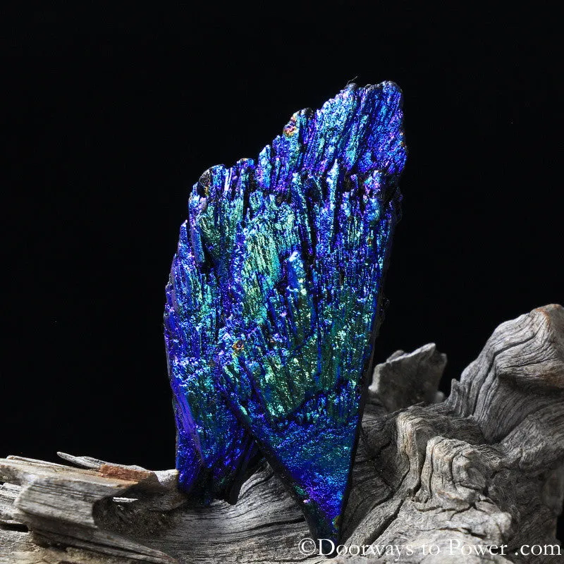 Powerful Black Kyanite Aura Crystal A    