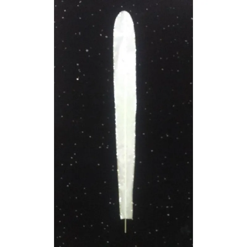 White Plain Acetate Feathers